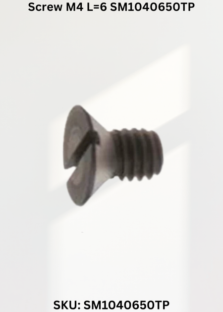 Screw M4 L=6 SM1040650TP