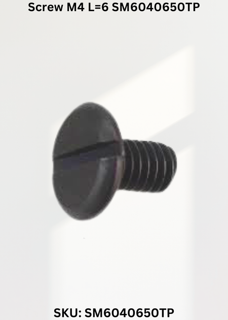 Screw M4 L=6 SM6040650TP