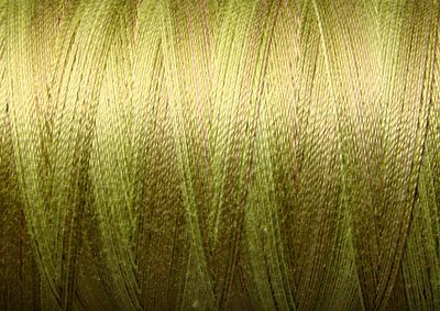 Valdani Vari Muddy Monet Spring Leave50wt 500m 6ct