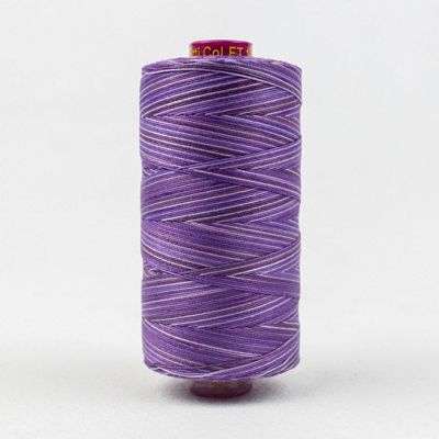 WonderFil Fruitti - Blueberry 12wt 100m Variegated Thread