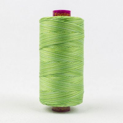 WonderFil Fruitti - Grass 12wt 100m Variegated Thread