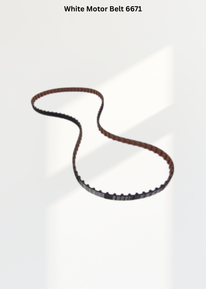 White Motor Belt 6671