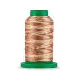Isacord 40 WT Variegated Polyester Embroidery Thread - Tex 27 - 1,093 yds.
