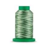 Isacord 40 WT Variegated Polyester Embroidery Thread - Tex 27 - 1,093 yds.