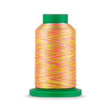 Isacord 40 WT Variegated Polyester Embroidery Thread - Tex 27 - 1,093 yds.