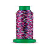 Isacord 40 WT Variegated Polyester Embroidery Thread - Tex 27 - 1,093 yds.