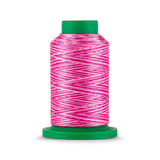 Isacord 40 WT Variegated Polyester Embroidery Thread - Tex 27 - 1,093 yds.