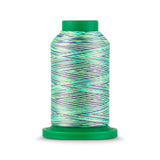 Isacord 40 WT Variegated Polyester Embroidery Thread - Tex 27 - 1,093 yds.