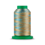 Isacord 40 WT Variegated Polyester Embroidery Thread - Tex 27 - 1,093 yds.