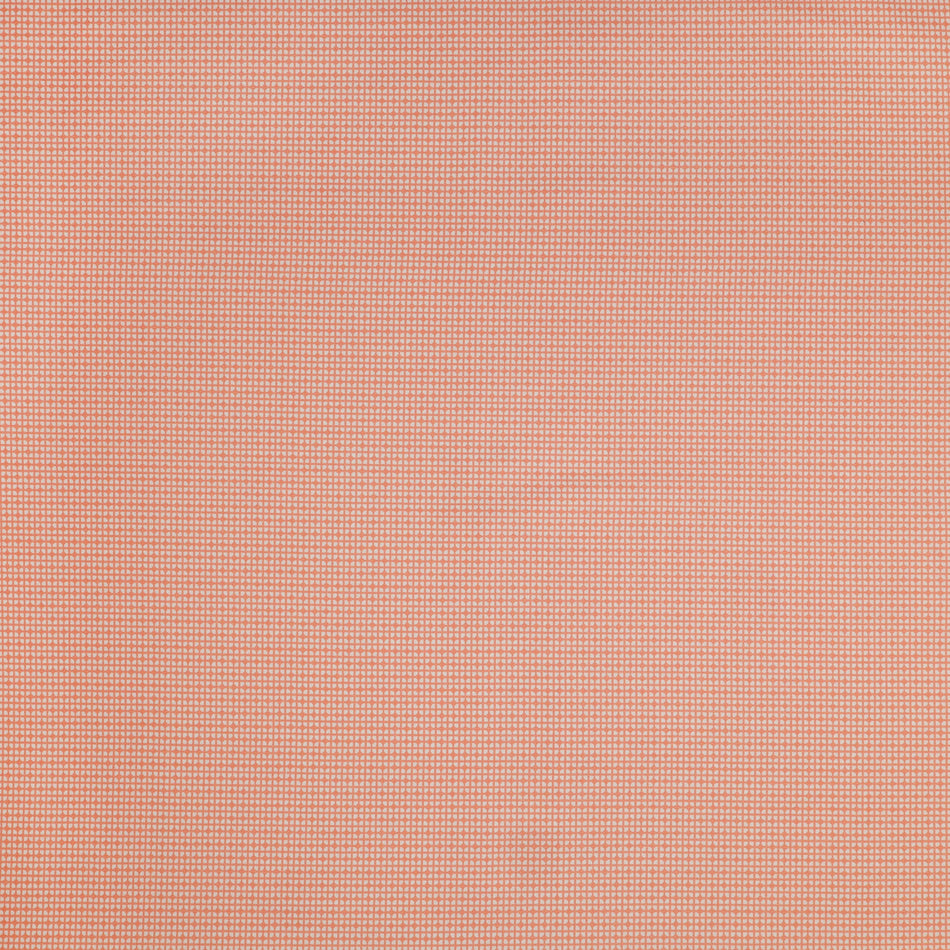 A Prairie Heart Fabric Collection - Prairie Weave Light Peach Jam