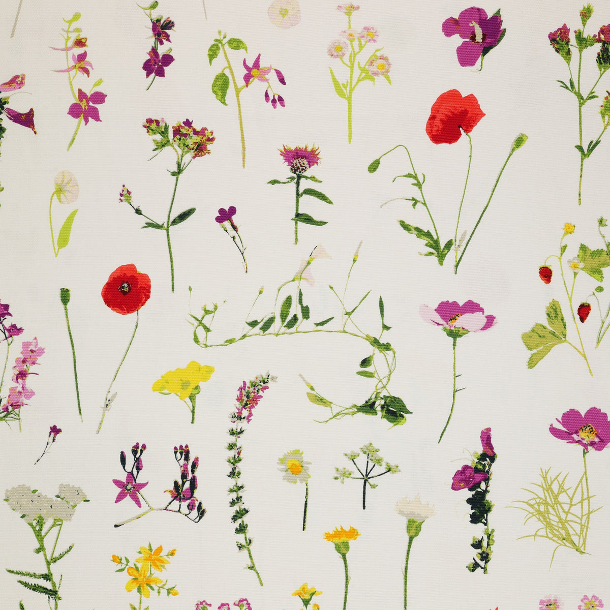 Petal Picking in Canvas