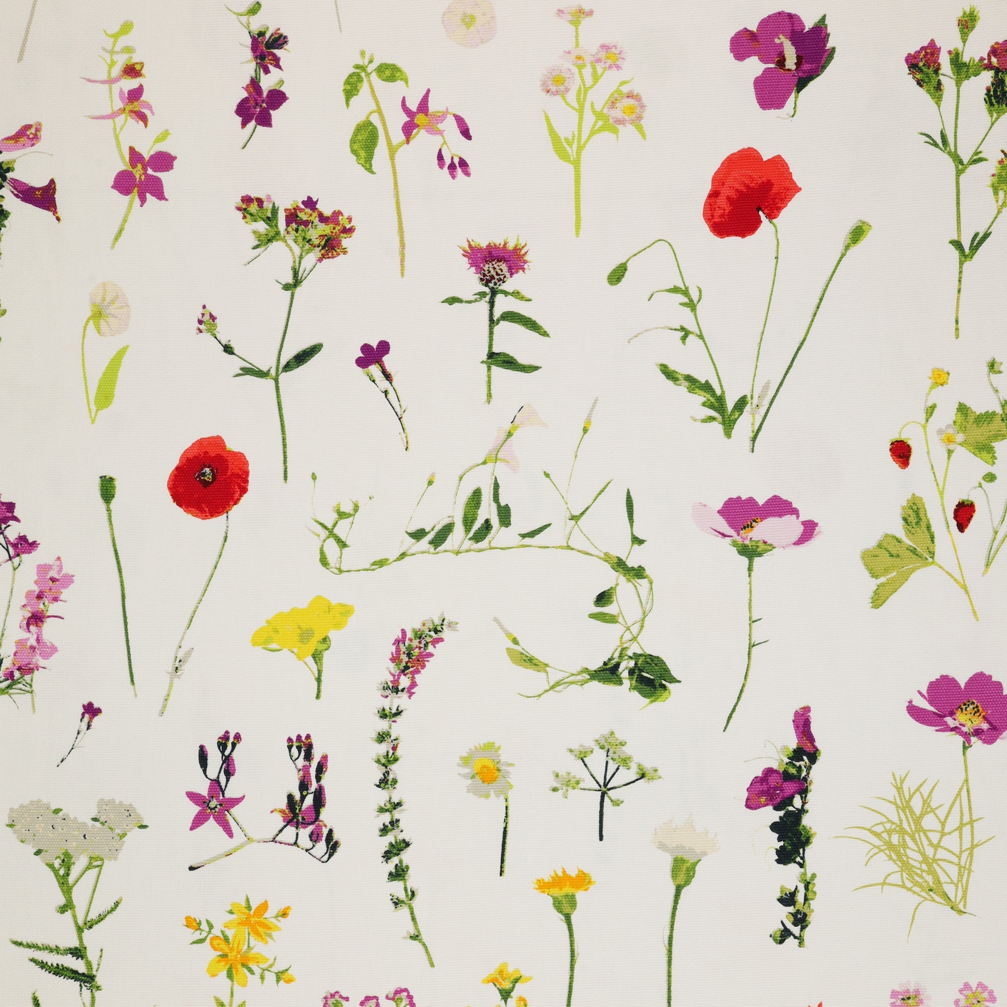 Petal Picking in Canvas