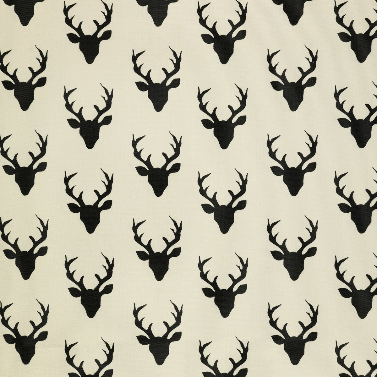 Buck Forest in Canvas