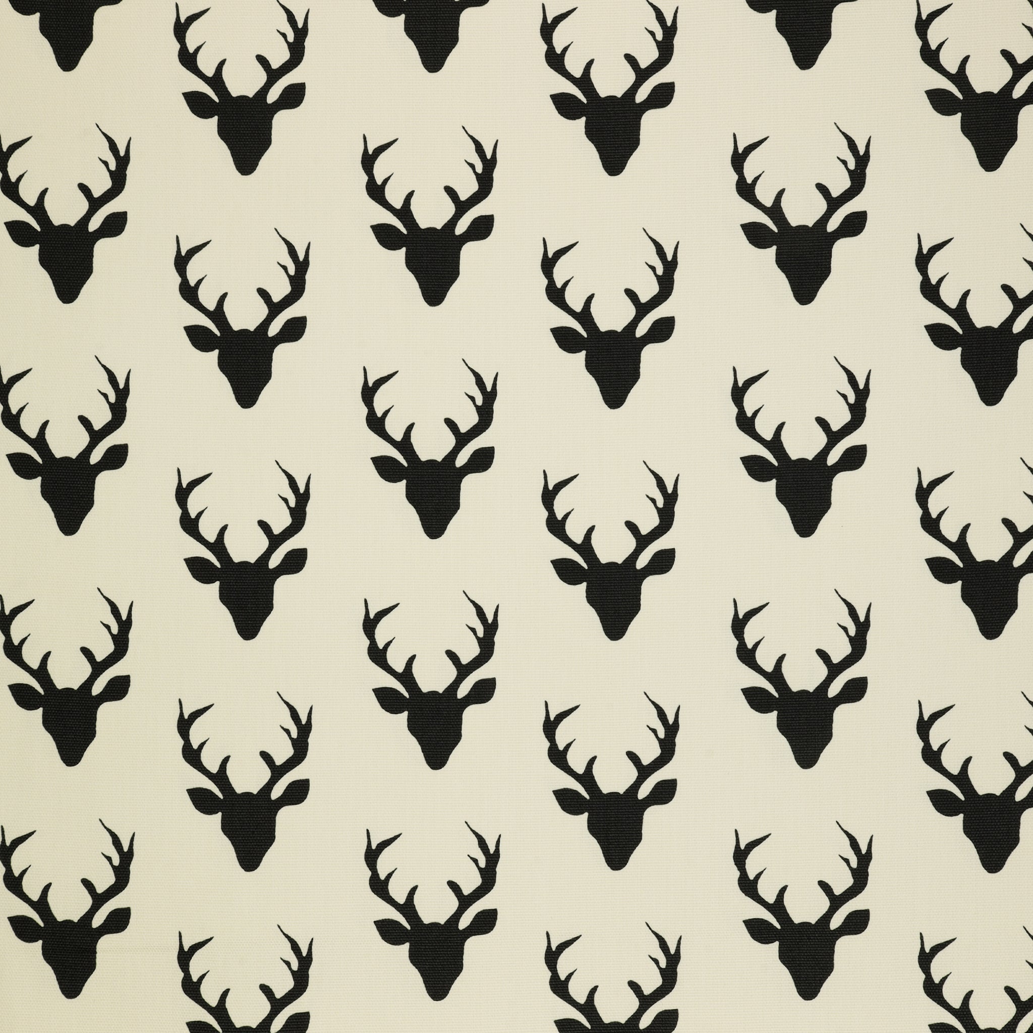 Buck Forest in Canvas