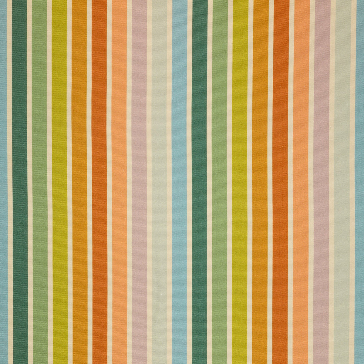 Summer Stripe in Canvas