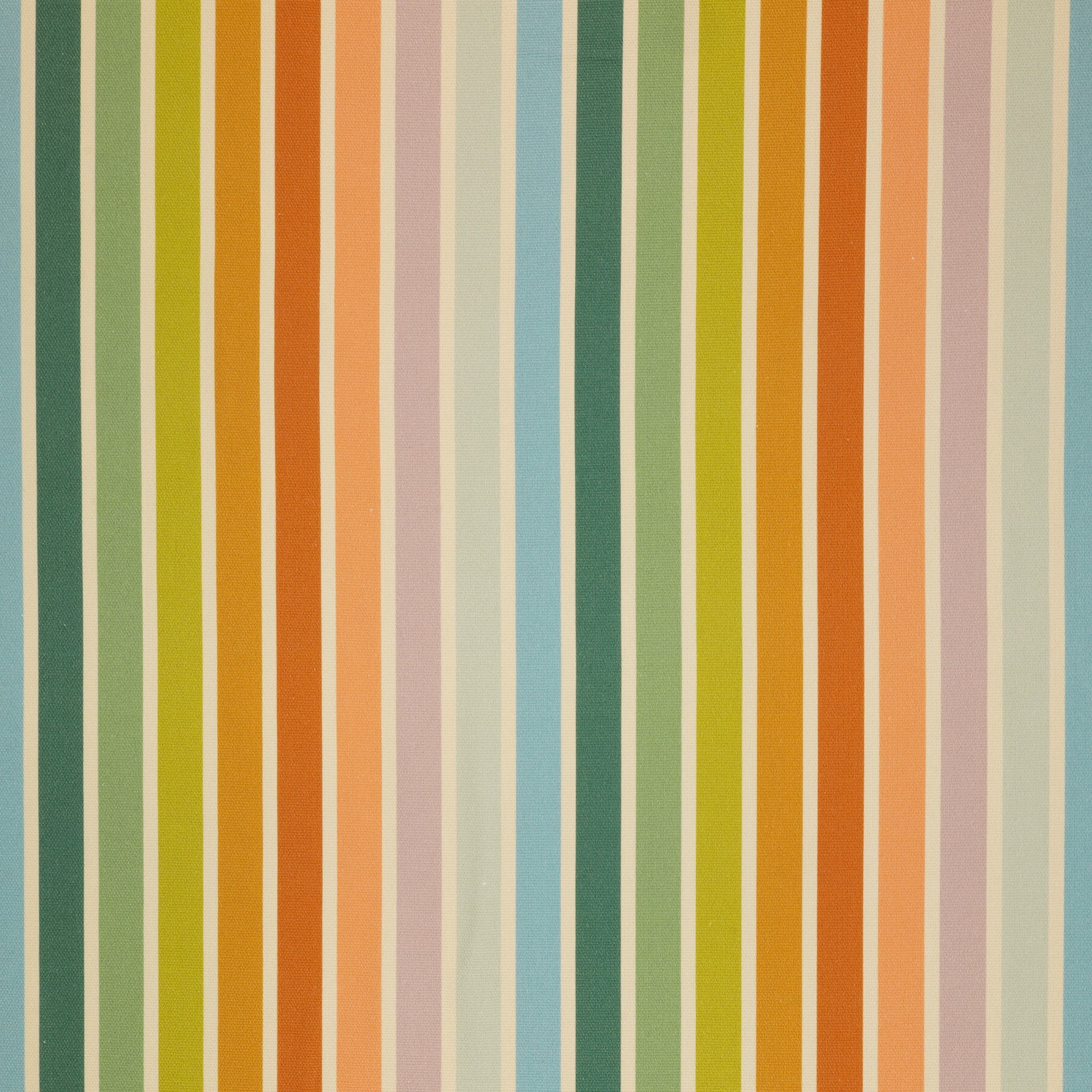 Summer Stripe in Canvas