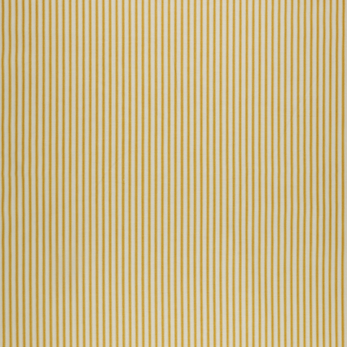 Ivy Reese Fabric Collection - Ticking Golden