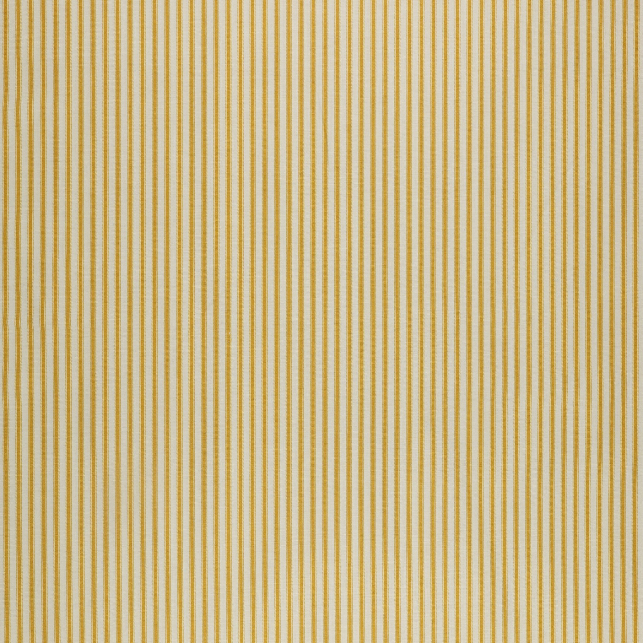 Ivy Reese Fabric Collection - Ticking Golden