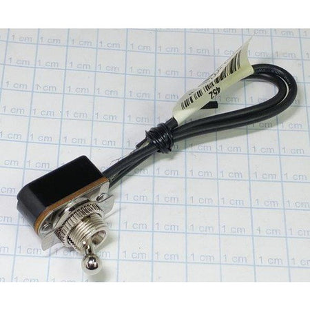 110V Switch - Generic #AS100LH-SWITCH