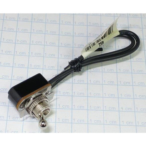 110V Switch - Generic #AS100LH-SWITCH