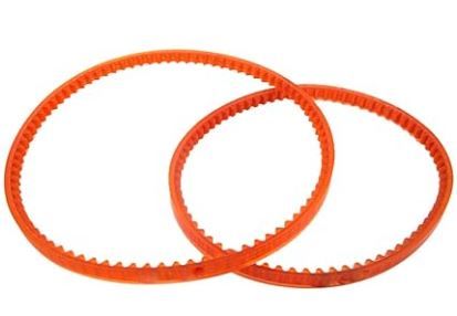 Kenmore Premium Dual Belt System (12" & 13 7/8")