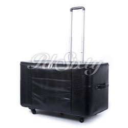 DELUXE HARD CASE
