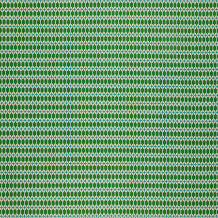 Trinketry Fabric Collection - Matchbook Deep Verdant